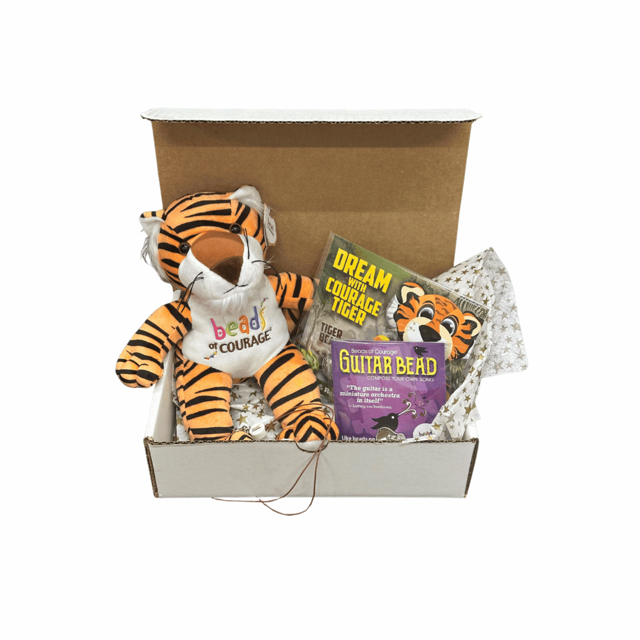 Sponsor a Roar-some Surprise Gift Box for a Child
