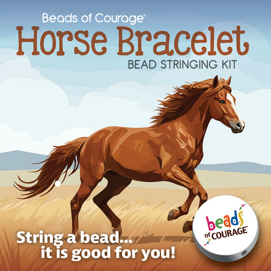 Horse Bracelet Kit