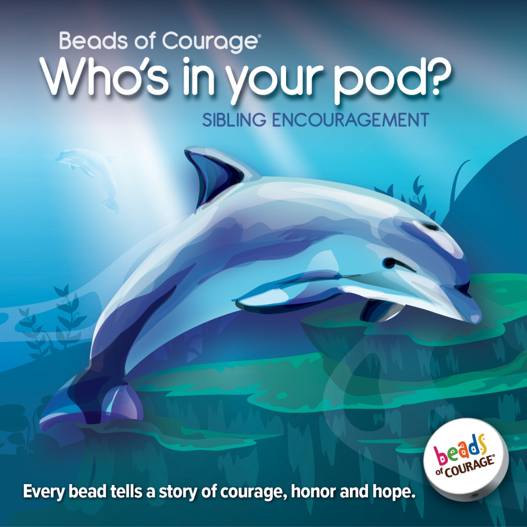 Beads of Courage, Dolphin Sibling EnCOURAGEment - 1 Activity 