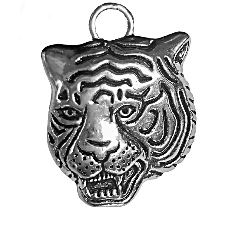 Tiger DREAM Activity & Bead